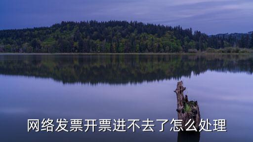 網(wǎng)絡(luò)發(fā)票開票進(jìn)不去了怎么處理