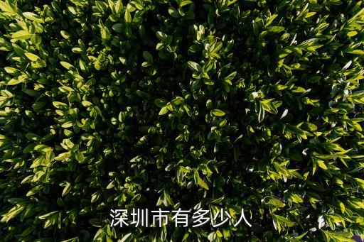 深圳市有多少人
