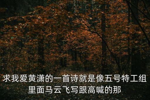 求我愛黃瀟的一首詩就是像五號特工組里面馬云飛寫跟高喊的那