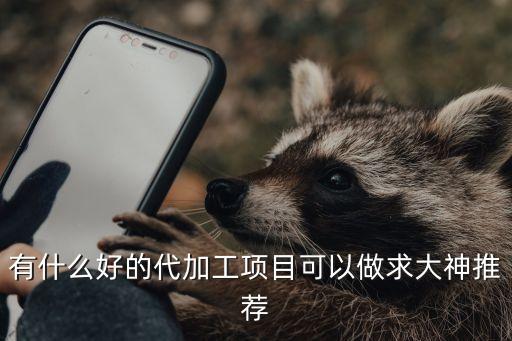 尋求代加工，有什么好的代加工項(xiàng)目可以做求大神推薦