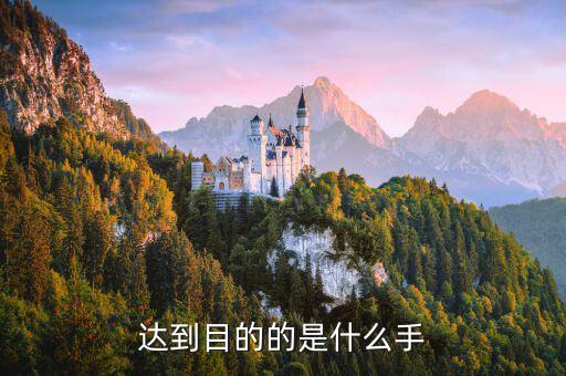達到目的，達到目的的是什么手