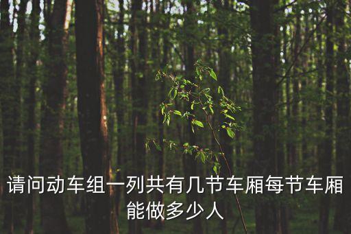 請問動車組一列共有幾節(jié)車廂每節(jié)車廂能做多少人