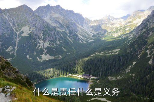 什么是責(zé)任什么是義務(wù)