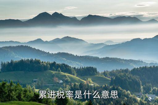 累進稅率，累進稅率的具體形式有哪些