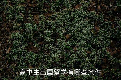 高中生出國留學(xué)有哪些條件