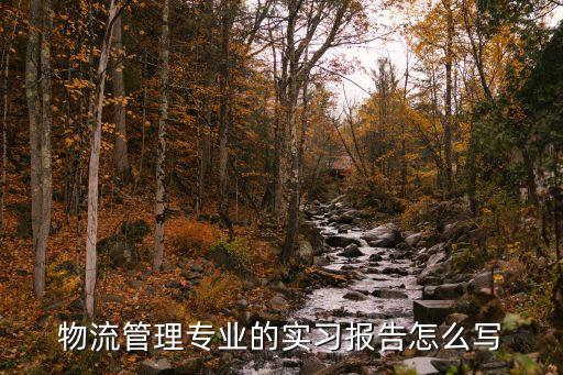 物流管理專業(yè)的實習報告怎么寫