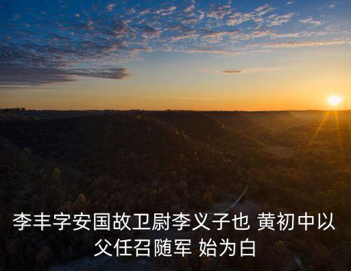 李豐，李豐是什么人