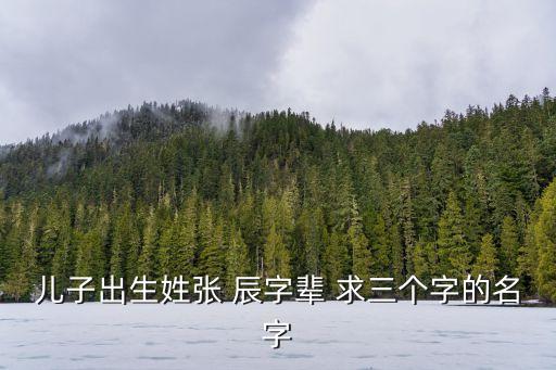 兒子出生姓張 辰字輩 求三個字的名字