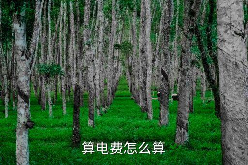 電費怎么計算公式，算電費怎么算