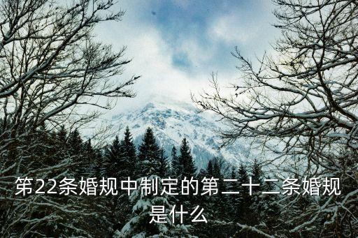 笫22條婚規(guī)中制定的第二十二條婚規(guī)是什么
