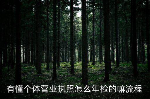 有懂個(gè)體營(yíng)業(yè)執(zhí)照怎么年檢的嘛流程