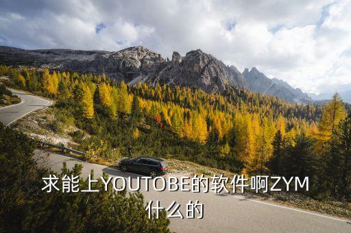 求能上YOUTOBE的軟件啊ZYM什么的