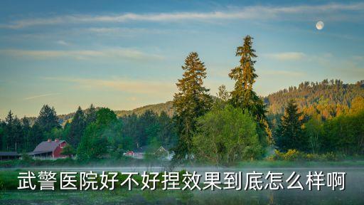武警醫(yī)學(xué)院附屬醫(yī)院，北京武警總醫(yī)院在什么地方