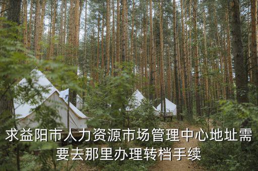 求益陽市人力資源市場管理中心地址需要去那里辦理轉(zhuǎn)檔手續(xù)