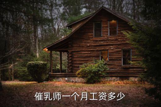 育嬰師工資，深圳育嬰員證工資多少我有這個(gè)證