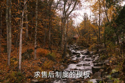售后服務(wù)管理制度，求售后制度的模板