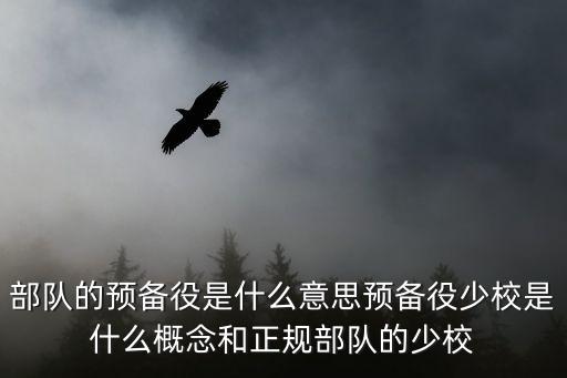 部隊(duì)的預(yù)備役是什么意思預(yù)備役少校是什么概念和正規(guī)部隊(duì)的少校