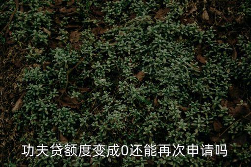 功夫貸，功夫貸是騙人嗎