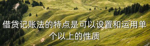 借貸記賬法的特點(diǎn)是可以設(shè)置和運(yùn)用單個(gè)以上的性質(zhì)