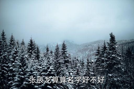 張辰龍，張辰龍算算名字好不好
