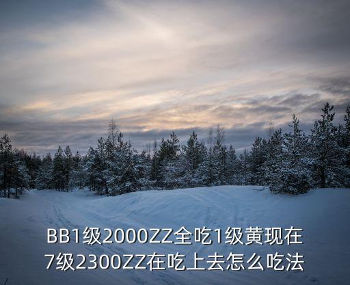 一級(jí)黃碟片，BB1級(jí)2000ZZ全吃1級(jí)黃現(xiàn)在7級(jí)2300ZZ在吃上去怎么吃法