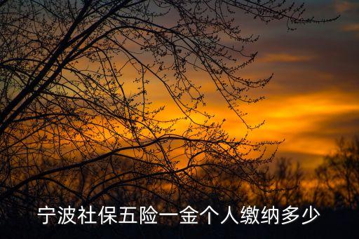 寧波社保，寧波市社保繳費比例多少