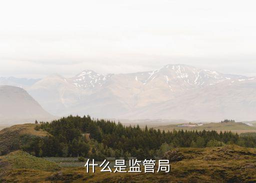 什么是監(jiān)管局