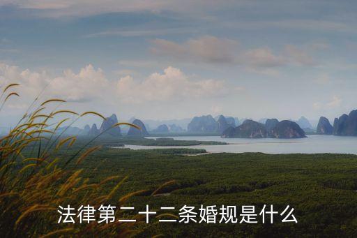 第二十二條婚規(guī)2，法律第二十二條婚規(guī)是什么