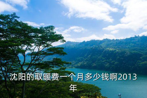 沈陽的取暖費(fèi)一個(gè)月多少錢啊2013年