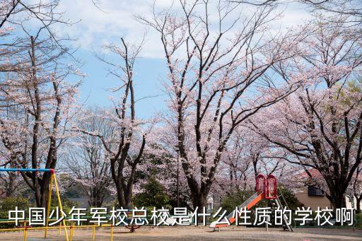 中國少年軍?？傂Ｊ鞘裁葱再|(zhì)的學(xué)校啊