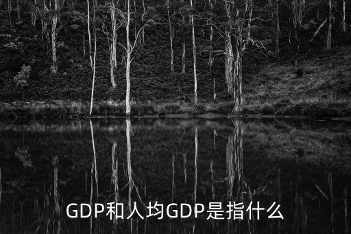 GDP和人均GDP是指什么