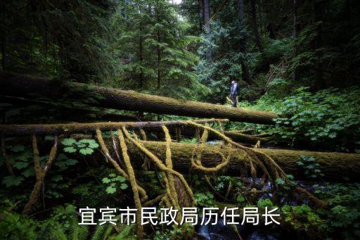 宜賓市民政局歷任局長