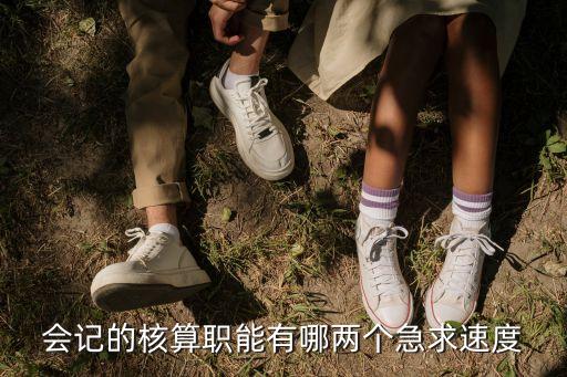 會計核算職能，會計核算的職能完整點依次列出并解說