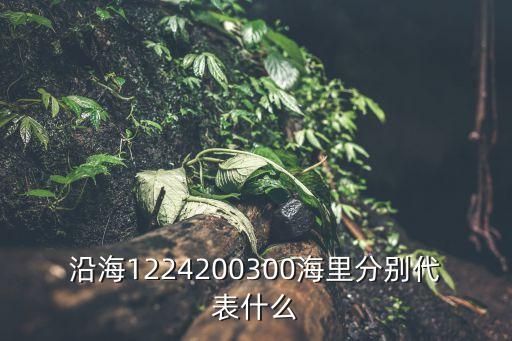 領(lǐng)海線，沿海1224200300海里分別代表什么