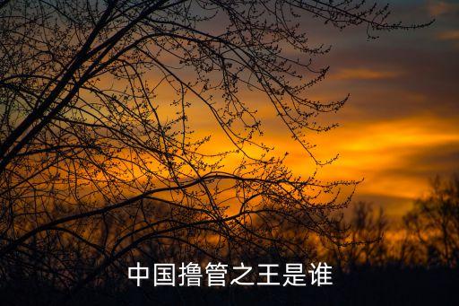 中國(guó)擼管之王是誰