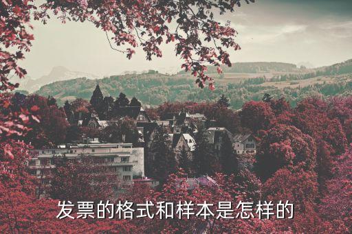 票發(fā)，發(fā)票的格式和樣本是怎樣的