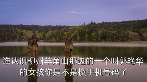 誰(shuí)認(rèn)識(shí)柳州羊角山那邊的一個(gè)叫郭艷華的女孩你是不是換手機(jī)號(hào)碼了