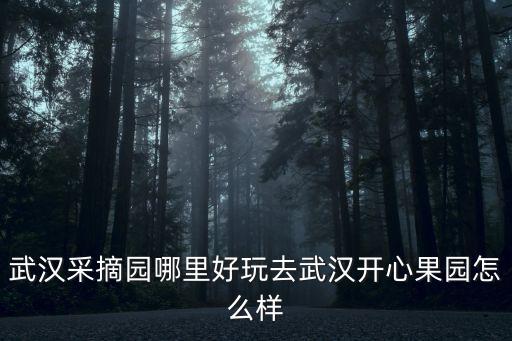 武漢采摘園哪里好玩去武漢開(kāi)心果園怎么樣