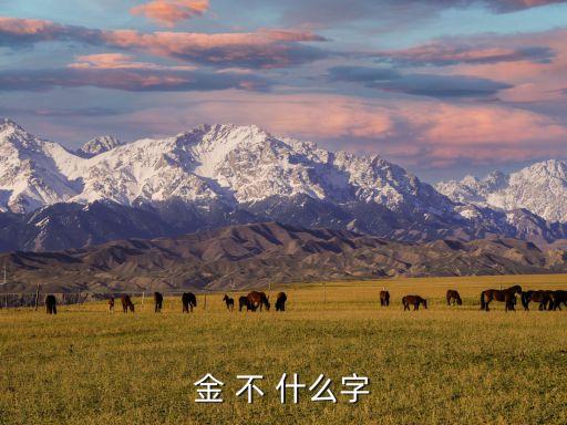 金 不 什么字