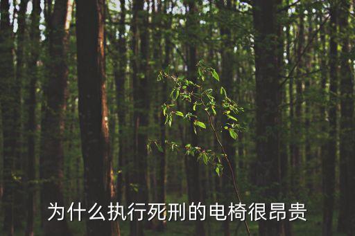 為什么執(zhí)行死刑的電椅很昂貴