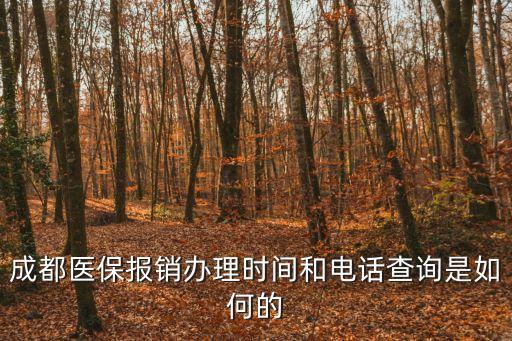 成都醫(yī)保電話，成都醫(yī)保報(bào)銷辦理時(shí)間和電話查詢是如何的