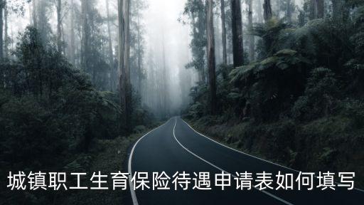 生育津貼申請(qǐng)表，生育保險(xiǎn)待遇申請(qǐng)表是干什么用的