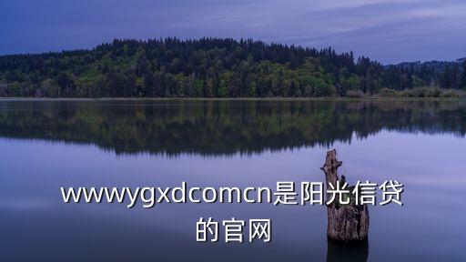 wwwygxdcomcn是陽光信貸的官網(wǎng)