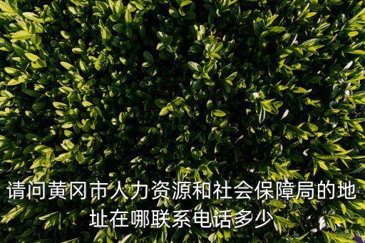 黃岡市人社局，武漢怎么到黃岡市人力資源和社會(huì)保障綜合大樓