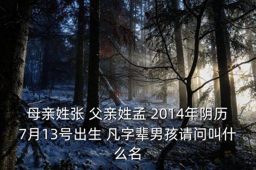 母親姓張 父親姓孟 2014年陰歷7月13號出生 凡字輩男孩請問叫什么名