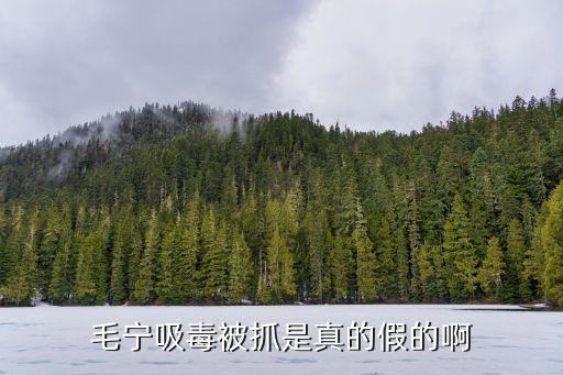 毛寧吸毒，毛寧吸毒被抓是真的假的啊