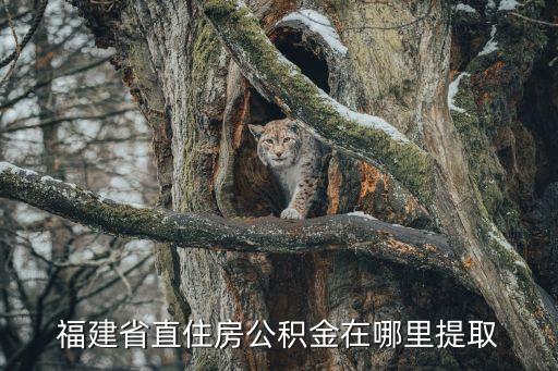 福建住房公積金，福建省直住房公積金在哪里提取