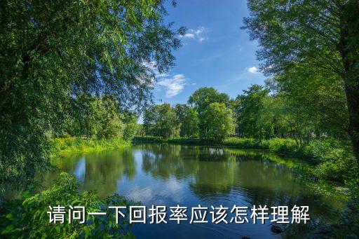 請問一下回報率應該怎樣理解