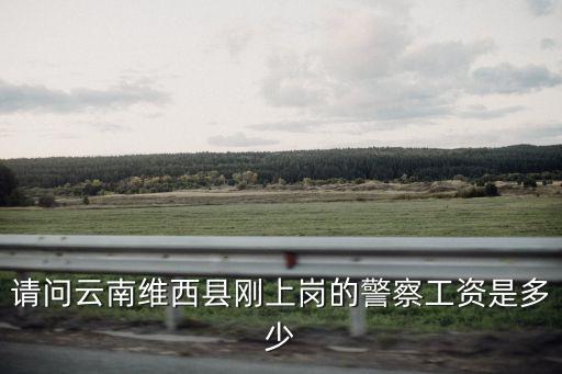 請問云南維西縣剛上崗的警察工資是多少
