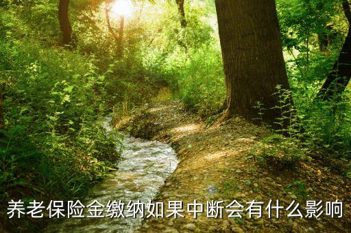 養(yǎng)老保險斷交有什么影響，養(yǎng)老保險斷交有什么影響